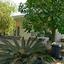 4 bedroom bungalow for sale ormideia larnaca 1167336 thumbnail 5620057