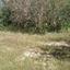 855 SQM Land for sale in Armou, Paphos thumbnail 9475583