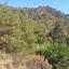 land for sale agios mamas limassol 823336 thumbnail 15602333