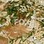 land for sale armou paphos 1159336 thumbnail 5521882