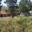 land for sale armou paphos 7535336 thumbnail 9475582