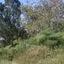 land for sale armou paphos 7535336 thumbnail 9475584