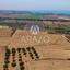 land for sale pyla larnaca 8936336 thumbnail 17638816