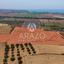 land for sale pyla larnaca 8936336 thumbnail 17638827