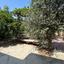 4 bedroom detached house for sale athienou larnaca 1918436 thumbnail 17676214