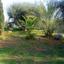 4 bedroom detached house for sale germasogeia limassol 8743436 thumbnail 18014108