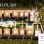 6 bedroom detached house for sale zygi larnaca 8347436 thumbnail 14675647