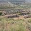 land for sale pachna limassol 1353436 thumbnail 15598683