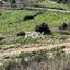 land for sale agios ambrosios limassol 1285536 thumbnail 5585221