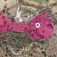 land for sale choirokoitia larnaca 1650536 thumbnail 5671434