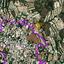 land for sale tsada paphos 8645536 thumbnail 15938264