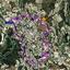land for sale tsada paphos 8645536 thumbnail 15938265