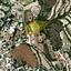 land for sale tsada paphos 8645536 thumbnail 15938266