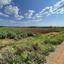 plot for sale ormideia larnaca 1313536 thumbnail 16119540