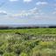 plot for sale ormideia larnaca 1313536 thumbnail 16119544