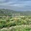 25284 SQM Land for sale in Agios Mamas, Limassol thumbnail 15915004