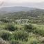 land for sale agios mamas limassol 1285636 thumbnail 15915002