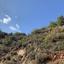 land for sale palaichori oreinis nicosia 826636 thumbnail 15603427
