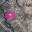 38462 SQM Land for sale in Agios Therapon, Limassol thumbnail 14889143