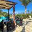 4 bedroom detached house for sale agia triada famagusta 8151736 thumbnail 15905099