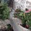 5 bedroom town house for sale kapedes nicosia 1752736 thumbnail 10535568