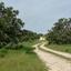land for sale alaminos larnaca 830736 thumbnail 4125585