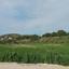 land for sale alaminos larnaca 830736 thumbnail 4125588
