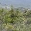land for sale kellaki limassol 8390736 thumbnail 16553454