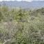 land for sale kellaki limassol 8390736 thumbnail 16553455