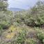 land for sale kellaki limassol 8390736 thumbnail 16553458