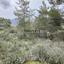 land for sale kellaki limassol 8390736 thumbnail 16553460
