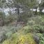 land for sale kellaki limassol 8390736 thumbnail 16553463