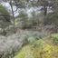 land for sale kellaki limassol 8390736 thumbnail 16553465
