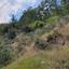 land for sale palaichori morfou nicosia 954736 thumbnail 15603260