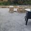 1 bedroom apartment for rent germasogeia limassol 8633836 thumbnail 16338598