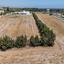 1 bedroom apartment for sale koloni paphos 7736836 thumbnail 12920977