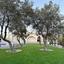 4 bedroom detached house for rent moni limassol 8565836 thumbnail 17088207