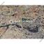 land for sale nisou nicosia 1766836 thumbnail 6268559