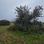 land for sale pentakomo limassol 8254836 thumbnail 13896428