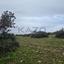 land for sale pentakomo limassol 8254836 thumbnail 13896432