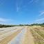 plot for sale gialia paphos 8624836 thumbnail 15872463