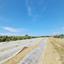 plot for sale gialia paphos 8624836 thumbnail 15872466