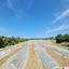 plot for sale gialia paphos 8624836 thumbnail 15872467