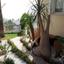 4 bedroom detached house for sale agia fyla limassol 1136936 thumbnail 15160687