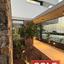 4 bedroom detached house sold peyia paphos 1333936 thumbnail 11057478