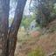 land for sale foinikaria limassol 7745936 thumbnail 14477384