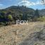 land for sale pachna limassol 7585936 thumbnail 9695514