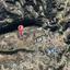 land for sale pachna limassol 848046 thumbnail 15603646