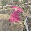 land for sale pyrgos nicosia nicosia 1136046 thumbnail 2910466