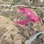 land for sale pyrgos nicosia nicosia 1136046 thumbnail 2910514